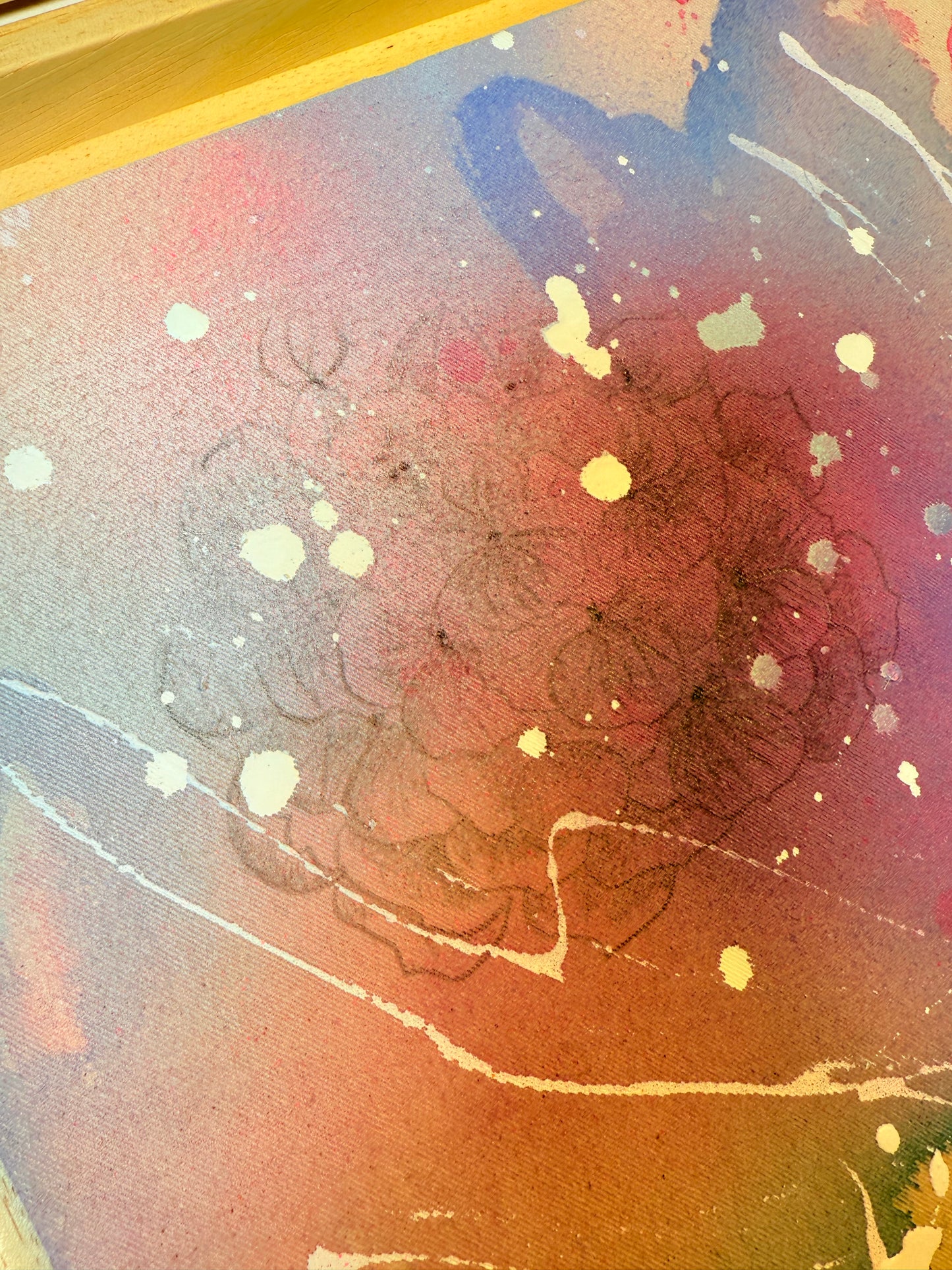 ,,Hortensie in der Abendsonne"