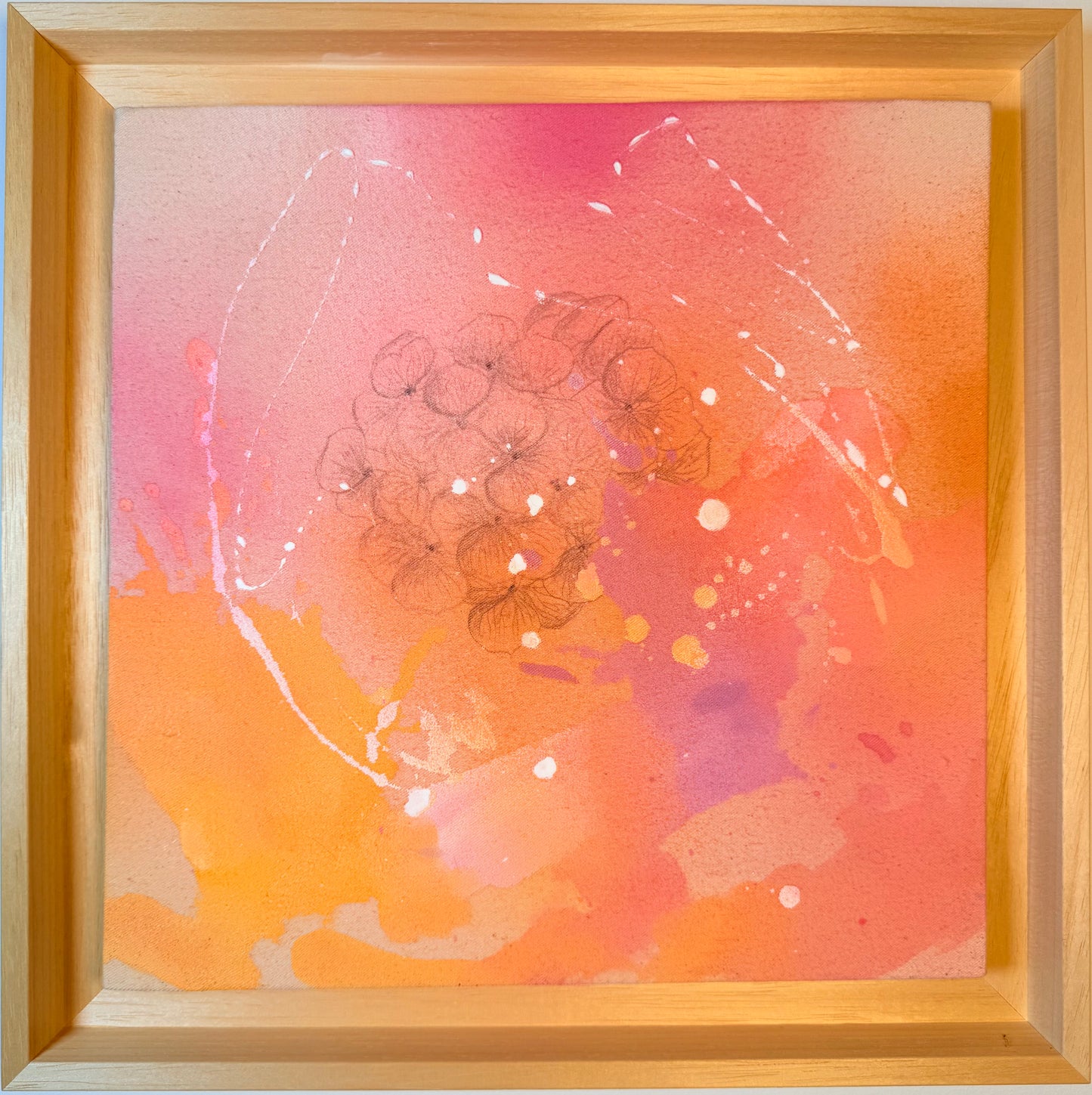 ,,Hortensie in der Morgensonne"