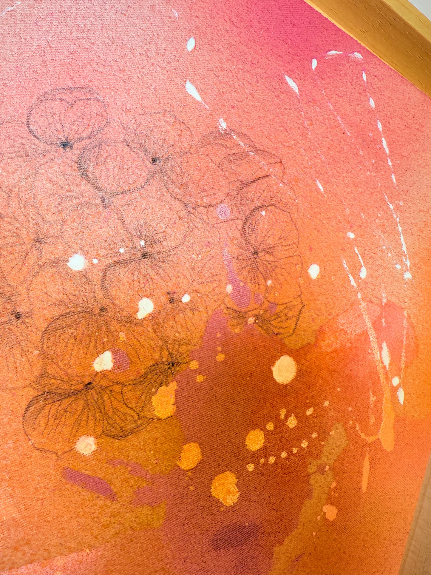 ,,Hortensie in der Morgensonne"